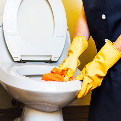 Toilet Cleaning Services​